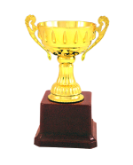 Sports Cup Fiber Trophies Manufacturers – BT 121