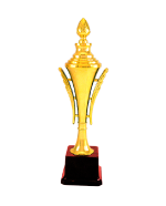 Gold Fiber Trophies Cup Manufacturers – BT 151
