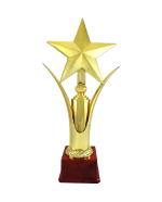 Golden Star Fiber Trophies Manufacturers – BT 1601