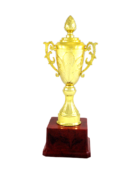 Fiber Trophies - BT 901 - Manufacturers Of Trophies, Medal & Cups