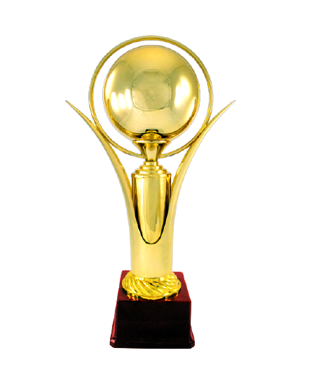 Manufacturers of Fiber Trophies in delhi , India
