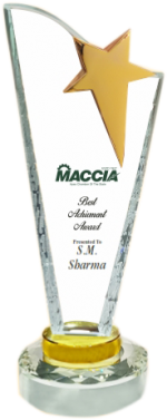 Star Crystal Trophies Manufacturers – BT 359