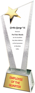 Star Crystal Trophies Manufacturers – BT 455