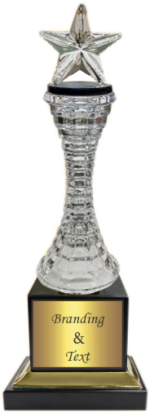 Top Star Crystal Trophies Manufacturers – BT 475