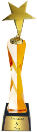 Top Star Crystal Trophies Manufacturers – BT 479