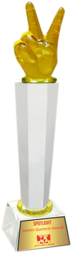 Victory Crystal Trophies Manufacturers – BT 481