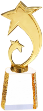 Shooting Star Crystal Trophies Manufacturers – BT 486