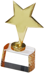 Star Crystal Trophies Manufacturers – BT 487