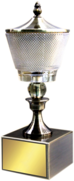 Shine Cup Crystal Trophies Manufacturers – BT 489
