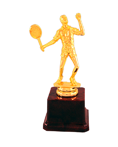 Manufacturers of Fiber Trophies in Delhi , India