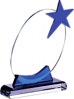 Star Crystal Glass Trophies Manufacturers – BT 7327