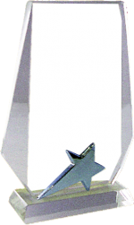 Star Crystal Glass Trophies Manufacturers – BT 7358