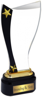 Classic Acrylic Trophies Manufactures – BT 8457