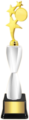 Top Star Acrylic Trophies Manufactures – BT 8488
