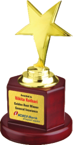 Star Wood & Metal Trophies Manufacturers – BT 9734