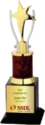 Star Wood & Metal Trophies Manufacturers – BT 9743