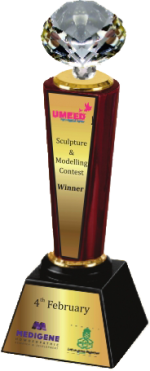 Diamond Wood & Metal Trophies Manufacturers – BT 9765