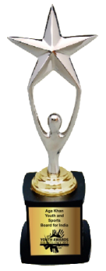 Silver Star Wood & Metal Trophies Manufacturers – BT 9790