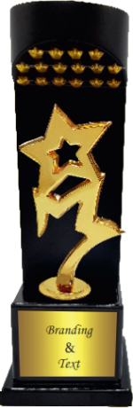Star Participant Wood Metal Trophies Manufacturers – BT 9866