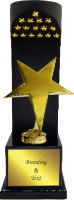 Star Participant Wood & Metal Trophies Manufacturers – BT 9867