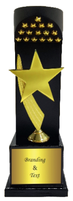 Star Participant Wood & Metal Trophies Manufacturers – BT 9868