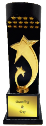 Star Participant Wood & Metal Trophies Manufacturers – BT 9869