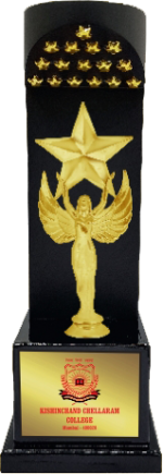 Lady Star Wood & Metal Trophies Manufacturers – BT 9870