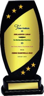 Wood & Metal Trophies Manufacturers – BT 9880