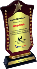 Star Performance Wood Metal Trophies Manufacturers – BT 9881