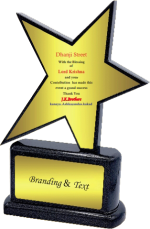 Flying Star Wood Metal Trophies Manufacturers – BT 9882