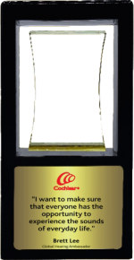 NGO Wood Metal Trophies Manufacturers – BT 9891