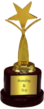 Star Wood Metal Trophies Manufacturers  – BT 9894