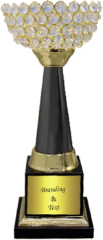 Diamond Cup Wood & Metal Trophies Manufacturers – BT 9909