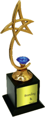 Diamond Star Wood & Metal Trophies Manufacturers – BT 9913