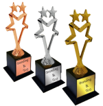 Star Wood Metal Trophies Manufacturers – BT 9914