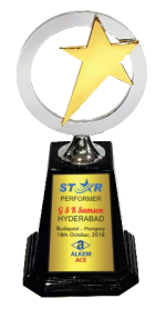 Round Star Wood & Metal Trophies Manufacturers – BT 9916