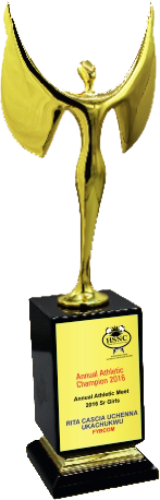Fly Wood & Metal Trophies Manufacturers – BT 9922