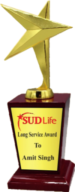 Wood & Metal Trophies Manufactures – BT 9924