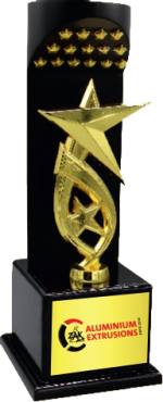 Star Participant Wood & Metal Trophies Manufacturers – BT 9927