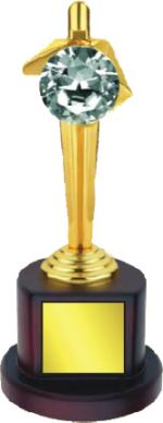 Diamond Wood & Metal Trophies Manufacturers – BT 9928
