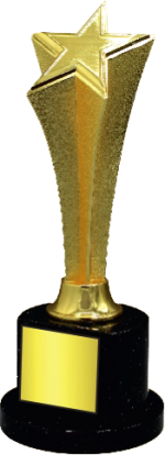 Rockstar Wood Metal Trophy Manufacturers – BT 9950