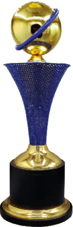 Sport Cup Wood Metal Trophies Manufacturers – BT 9955
