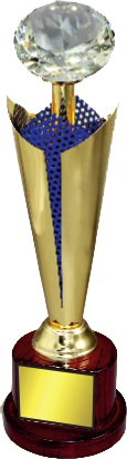 Diamond Wood Metal Trophies Manufacturers- BT 9956