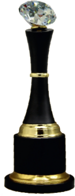 Leadership Wood Metal Trophies Manufacturers – BT 9957