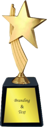 Gold Star Wood & Metal Trophies Manufacturers – BT 9965