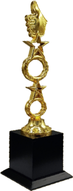 Wood Metal Trophies Manufacturers – BT 9966