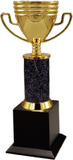Gold Cup Wood & Metal Trophies – BT 9967