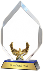 Star Wings Acrylic Trophies Manufacturers – BT 8438