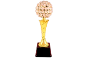 Fibre Trophies