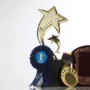 What Is the Difference Between a Trophy, Medal, and Plaque?